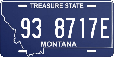 MT license plate 938717E