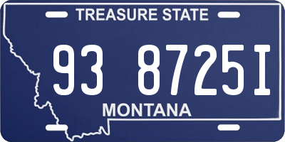 MT license plate 938725I