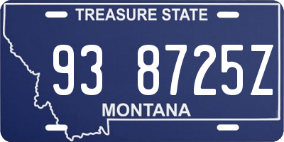 MT license plate 938725Z