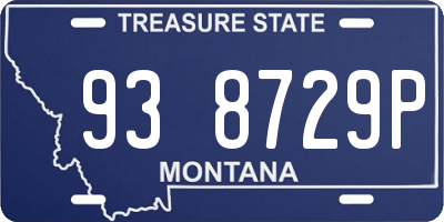 MT license plate 938729P