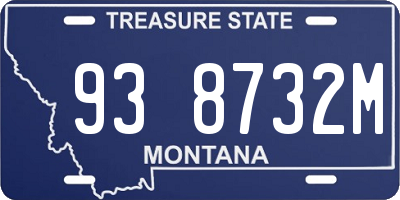 MT license plate 938732M