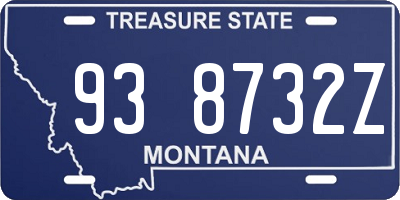 MT license plate 938732Z