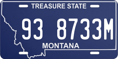 MT license plate 938733M