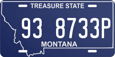 MT license plate 938733P