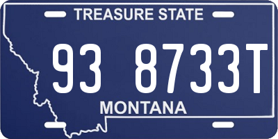 MT license plate 938733T