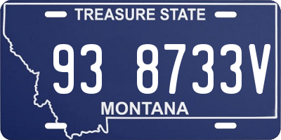 MT license plate 938733V