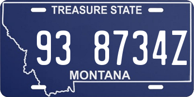 MT license plate 938734Z