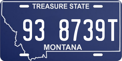 MT license plate 938739T