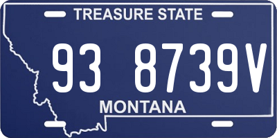 MT license plate 938739V