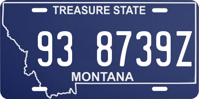 MT license plate 938739Z