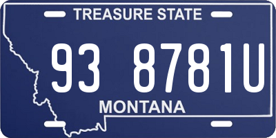 MT license plate 938781U