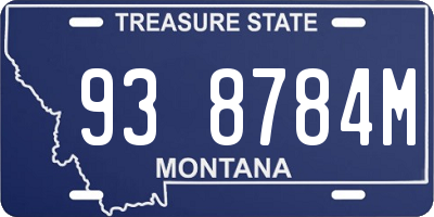 MT license plate 938784M