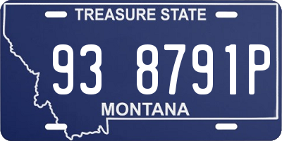 MT license plate 938791P