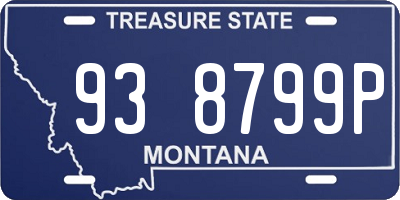 MT license plate 938799P