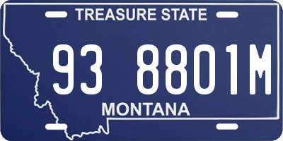 MT license plate 938801M