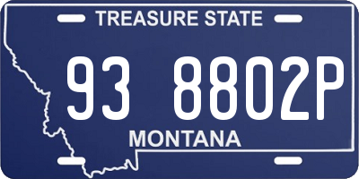 MT license plate 938802P