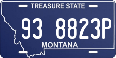 MT license plate 938823P