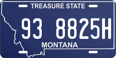 MT license plate 938825H