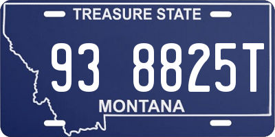 MT license plate 938825T