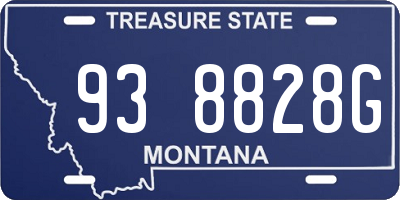 MT license plate 938828G