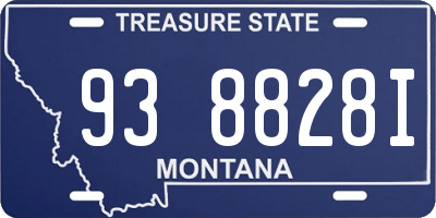 MT license plate 938828I