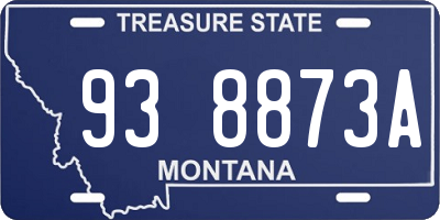 MT license plate 938873A
