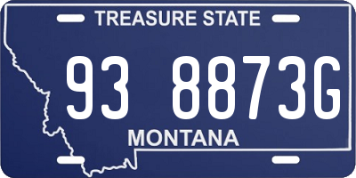 MT license plate 938873G