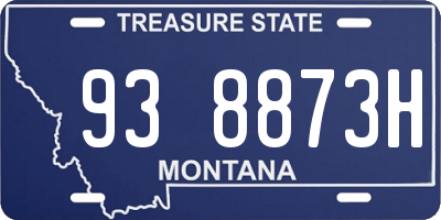 MT license plate 938873H