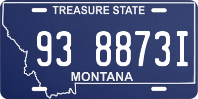 MT license plate 938873I