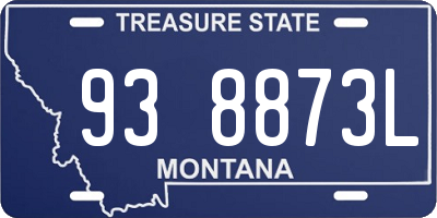 MT license plate 938873L