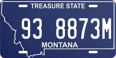 MT license plate 938873M