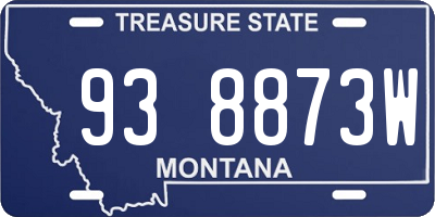 MT license plate 938873W
