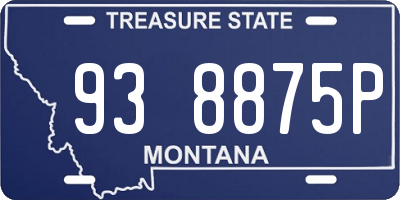 MT license plate 938875P
