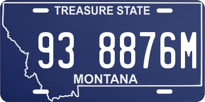 MT license plate 938876M
