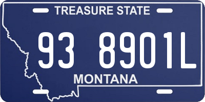 MT license plate 938901L