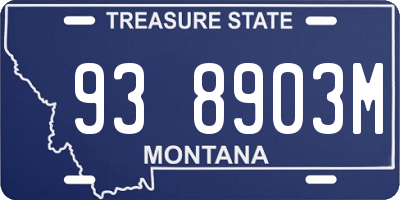 MT license plate 938903M