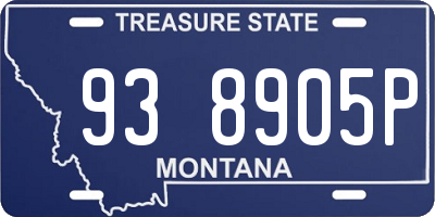 MT license plate 938905P