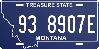 MT license plate 938907E
