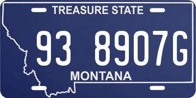 MT license plate 938907G