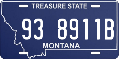 MT license plate 938911B