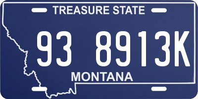 MT license plate 938913K