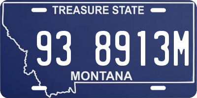 MT license plate 938913M