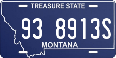 MT license plate 938913S