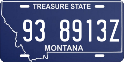 MT license plate 938913Z
