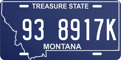 MT license plate 938917K