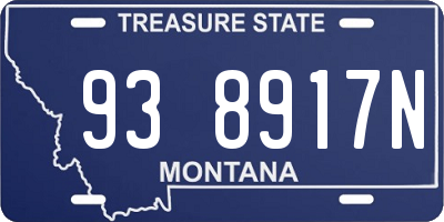 MT license plate 938917N