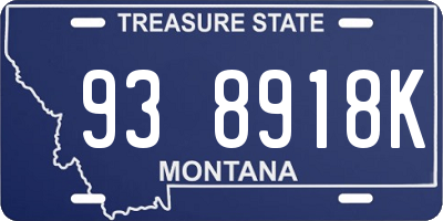 MT license plate 938918K