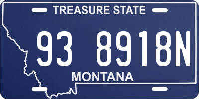 MT license plate 938918N