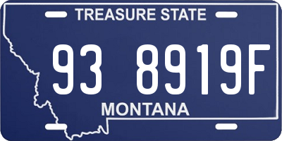 MT license plate 938919F