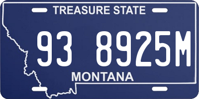 MT license plate 938925M